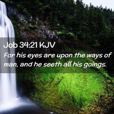 Picture 02 - Job 34:21 KJV - For his eyes are upon the ways of man, and he - Bible Verse Picture