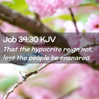Picture 02 - Job 34:30 KJV - That the hypocrite reign not, lest the people be - Bible Verse Picture