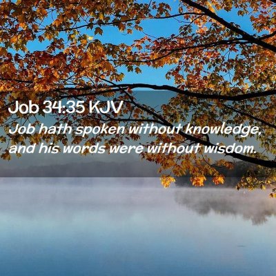 Picture 02 - Job 34:35 KJV - Job hath spoken without knowledge, and his words - Bible Verse Picture