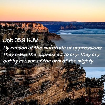 Picture 02 - Job 35:9 KJV - By reason of the multitude of oppressions they - Bible Verse Picture