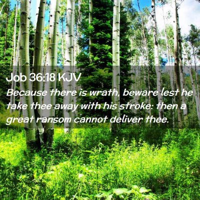 Picture 02 - Job 36:18 KJV - Because there is wrath, beware lest he take thee - Bible Verse Picture