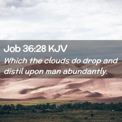 Picture 02 - Job 36:28 KJV - Which the clouds do drop and distil upon man - Bible Verse Picture