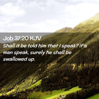 Picture 02 - Job 37:20 KJV - Shall it be told him that I speak? if a man - Bible Verse Picture
