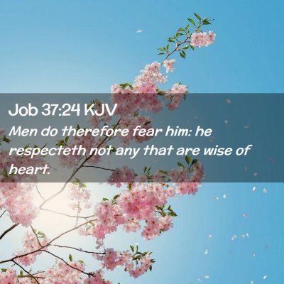 Picture 02 - Job 37:24 KJV - Men do therefore fear him: he respecteth not any - Bible Verse Picture