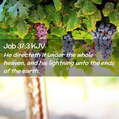 Picture 02 - Job 37:3 KJV - He directeth it under the whole heaven, and his - Bible Verse Picture