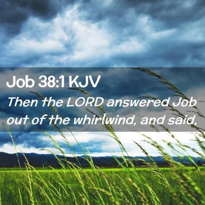 Picture 02 - Job 38:1 KJV - Then the LORD answered Job out of the whirlwind, - Bible Verse Picture