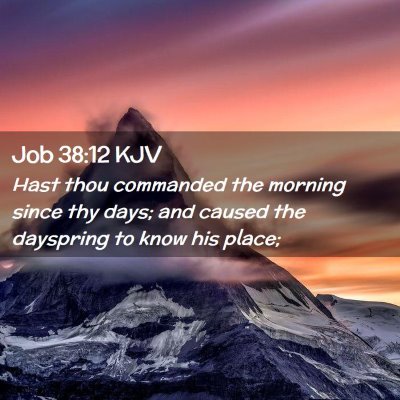 Picture 02 - Job 38:12 KJV - Hast thou commanded the morning since thy days; - Bible Verse Picture