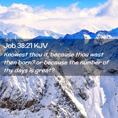 Picture 02 - Job 38:21 KJV - Knowest thou it, because thou wast then born? or - Bible Verse Picture