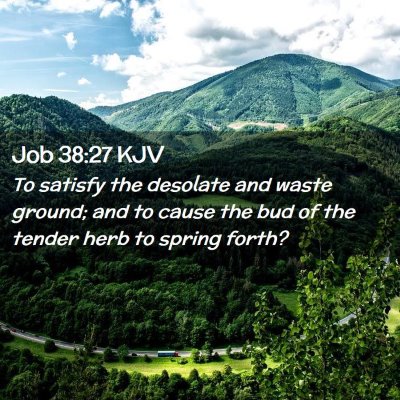 Picture 02 - Job 38:27 KJV - To satisfy the desolate and waste ground; and to - Bible Verse Picture