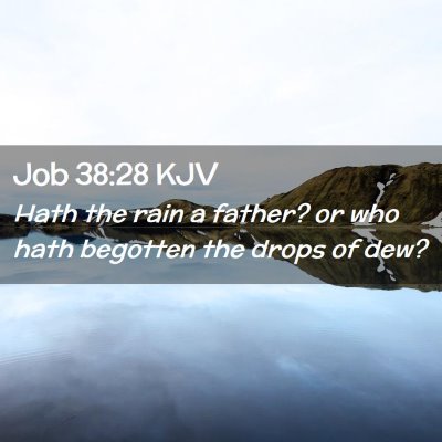 Picture 02 - Job 38:28 KJV - Hath the rain a father? or who hath begotten the - Bible Verse Picture