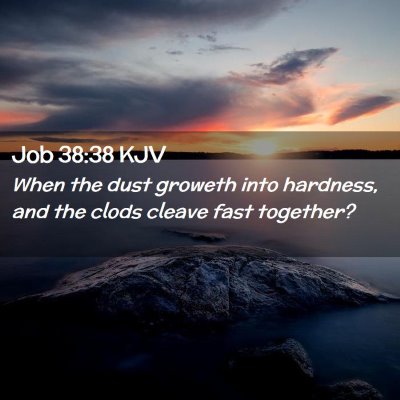 Picture 02 - Job 38:38 KJV - When the dust groweth into hardness, and the - Bible Verse Picture