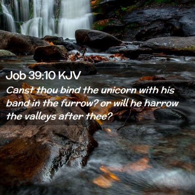 Picture 02 - Job 39:10 KJV - Canst thou bind the unicorn with his band in the - Bible Verse Picture