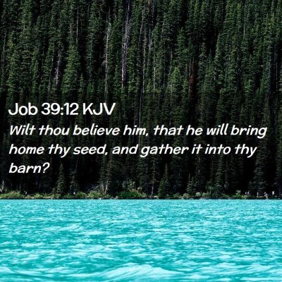 Picture 02 - Job 39:12 KJV - Wilt thou believe him, that he will bring home - Bible Verse Picture
