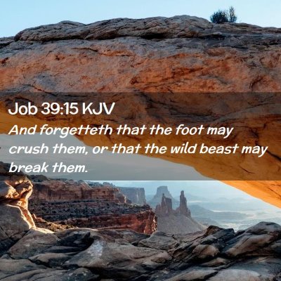 Picture 02 - Job 39:15 KJV - And forgetteth that the foot may crush them, or - Bible Verse Picture
