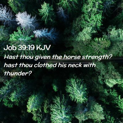 Picture 02 - Job 39:19 KJV - Hast thou given the horse strength? hast thou - Bible Verse Picture