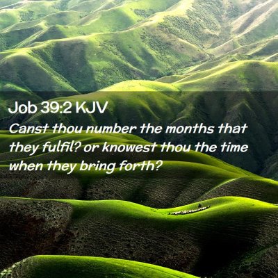Picture 02 - Job 39:2 KJV - Canst thou number the months that they fulfil? or - Bible Verse Picture