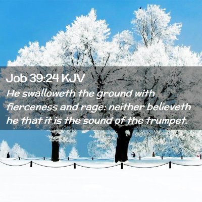 Picture 02 - Job 39:24 KJV - He swalloweth the ground with fierceness and - Bible Verse Picture