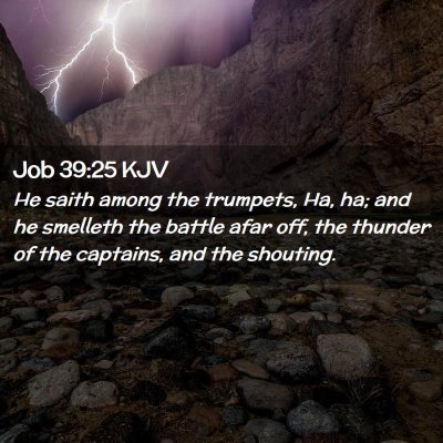 Picture 02 - Job 39:25 KJV - He saith among the trumpets, Ha, ha; and he - Bible Verse Picture