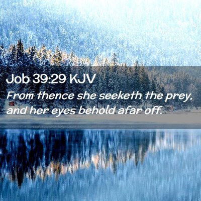 Picture 02 - Job 39:29 KJV - From thence she seeketh the prey, and her eyes - Bible Verse Picture