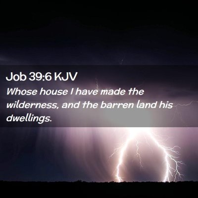 Picture 02 - Job 39:6 KJV - Whose house I have made the wilderness, and the - Bible Verse Picture