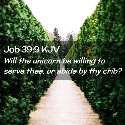 Picture 02 - Job 39:9 KJV - Will the unicorn be willing to serve thee, or - Bible Verse Picture