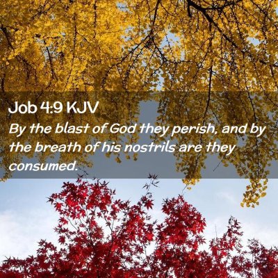Picture 02 - Job 4:9 KJV - By the blast of God they perish, and by the - Bible Verse Picture