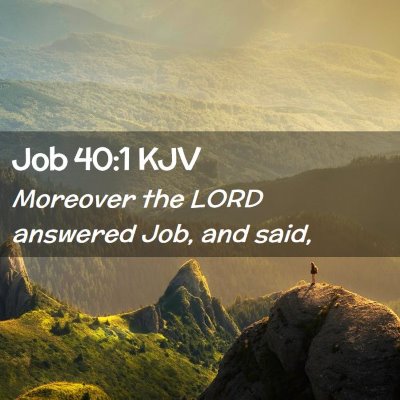 Picture 02 - Job 40:1 KJV - Moreover the LORD answered Job, and - Bible Verse Picture