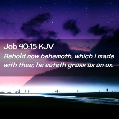 Picture 02 - Job 40:15 KJV - Behold now behemoth, which I made with thee; he - Bible Verse Picture