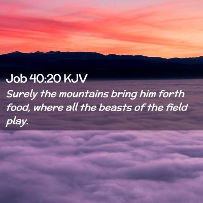 Picture 02 - Job 40:20 KJV - Surely the mountains bring him forth food, where - Bible Verse Picture