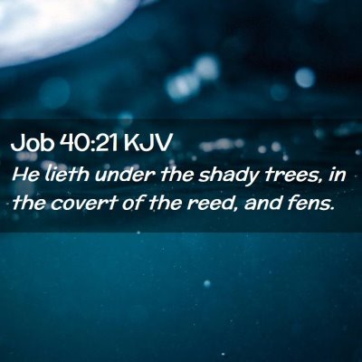 Picture 02 - Job 40:21 KJV - He lieth under the shady trees, in the covert of - Bible Verse Picture
