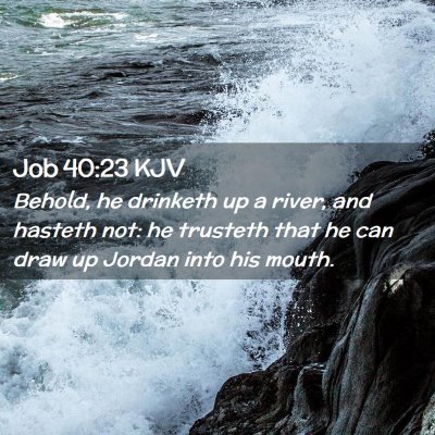 Picture 02 - Job 40:23 KJV - Behold, he drinketh up a river, and hasteth not: - Bible Verse Picture