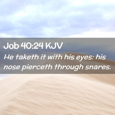 Picture 02 - Job 40:24 KJV - He taketh it with his eyes: his nose pierceth - Bible Verse Picture
