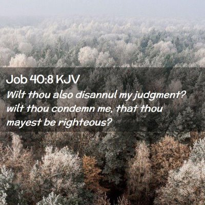 Picture 02 - Job 40:8 KJV - Wilt thou also disannul my judgment? wilt thou - Bible Verse Picture