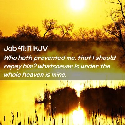 Picture 02 - Job 41:11 KJV - Who hath prevented me, that I should repay him? - Bible Verse Picture