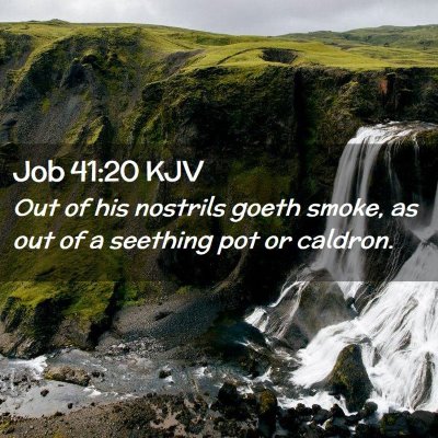Picture 02 - Job 41:20 KJV - Out of his nostrils goeth smoke, as out of a - Bible Verse Picture