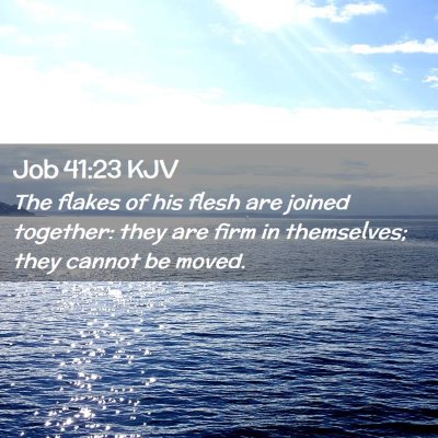 Picture 02 - Job 41:23 KJV - The flakes of his flesh are joined together: they - Bible Verse Picture