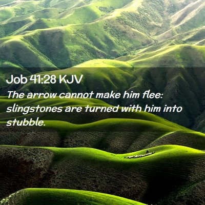 Picture 02 - Job 41:28 KJV - The arrow cannot make him flee: slingstones are - Bible Verse Picture