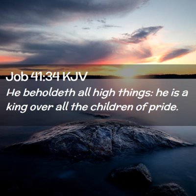 Picture 02 - Job 41:34 KJV - He beholdeth all high things: he is a king over - Bible Verse Picture