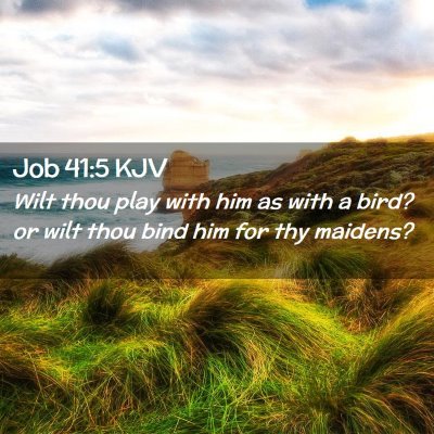 Picture 02 - Job 41:5 KJV - Wilt thou play with him as with a bird? or wilt - Bible Verse Picture