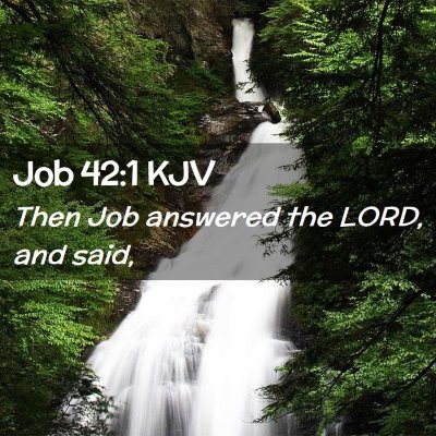 Picture 02 - Job 42:1 KJV - Then Job answered the LORD, and - Bible Verse Picture