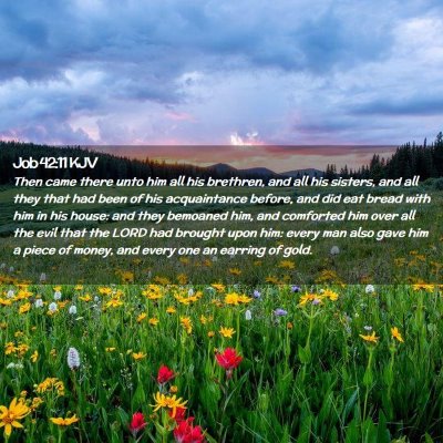 Picture 02 - Job 42:11 KJV - Then came there unto him all his brethren, and - Bible Verse Picture