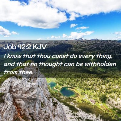 Picture 02 - Job 42:2 KJV - I know that thou canst do every thing, and that - Bible Verse Picture