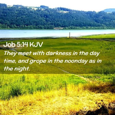 Picture 02 - Job 5:14 KJV - They meet with darkness in the day time, and - Bible Verse Picture