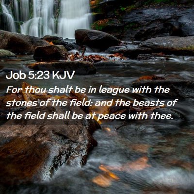 Picture 02 - Job 5:23 KJV - For thou shalt be in league with the stones of - Bible Verse Picture