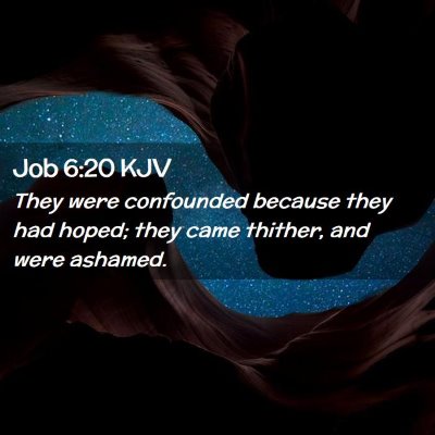 Picture 02 - Job 6:20 KJV - They were confounded because they had hoped; they - Bible Verse Picture