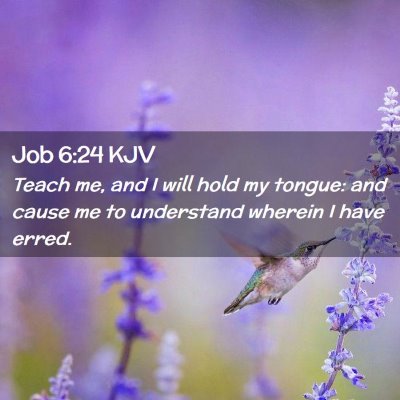 Picture 02 - Job 6:24 KJV - Teach me, and I will hold my tongue: and cause me - Bible Verse Picture