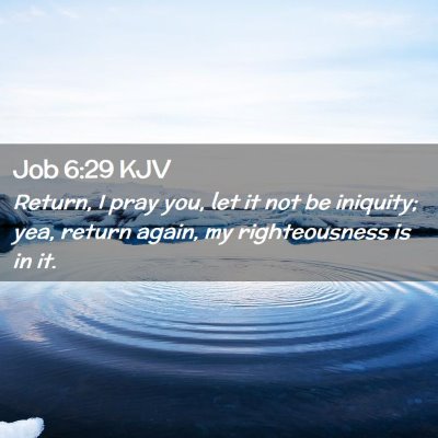 Picture 02 - Job 6:29 KJV - Return, I pray you, let it not be iniquity; yea, - Bible Verse Picture