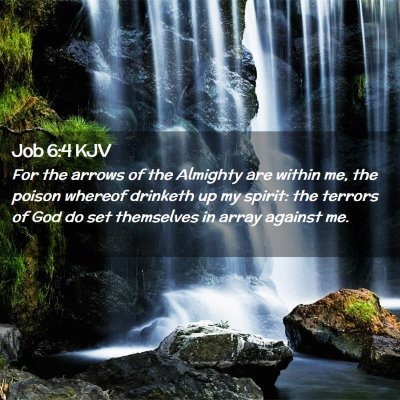 Picture 02 - Job 6:4 KJV - For the arrows of the Almighty are within me, the - Bible Verse Picture