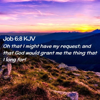 Picture 02 - Job 6:8 KJV - Oh that I might have my request; and that God - Bible Verse Picture