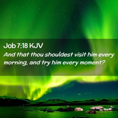 Picture 02 - Job 7:18 KJV - And that thou shouldest visit him every morning, - Bible Verse Picture